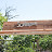 DSC_0912.JPG