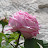 DSC00072.JPG