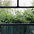 DSC00156.JPG