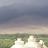 DSC00669.JPG
