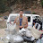 DSC00061.JPG