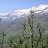 DSC00117.JPG