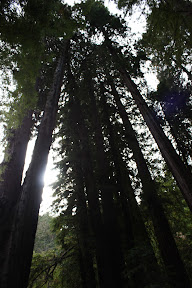 IMG_3759.JPG