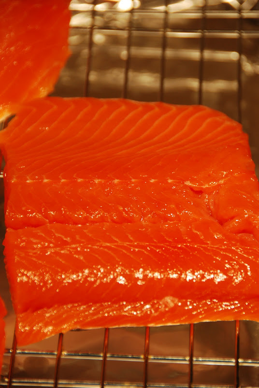 Salmon%20001.JPG