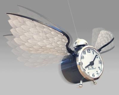 [time-flies-clock-10-11-2006[4].gif]