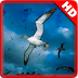 Bird Flying Wallpaper