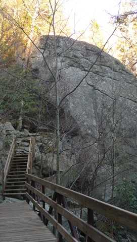 [P1020794[2].jpg]