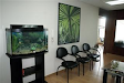 Acuarios Peces Plantas Filtros Etc