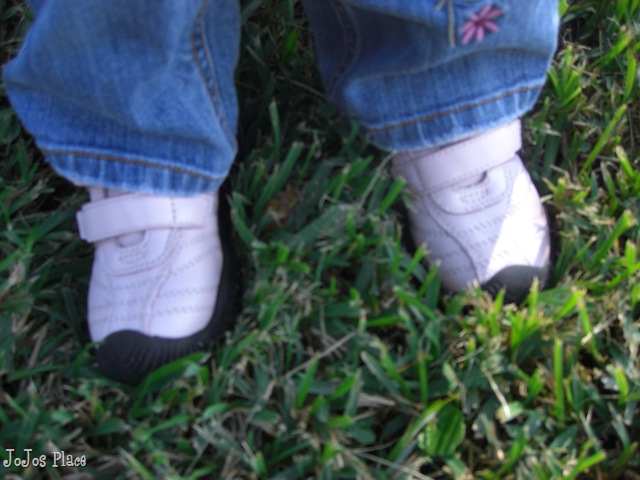 [october 2009 004[10].jpg]
