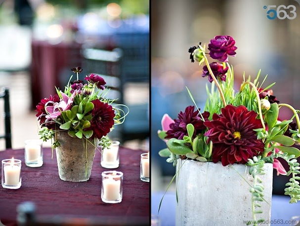 Flowers Foley 10.31.09 verbena floral design austin