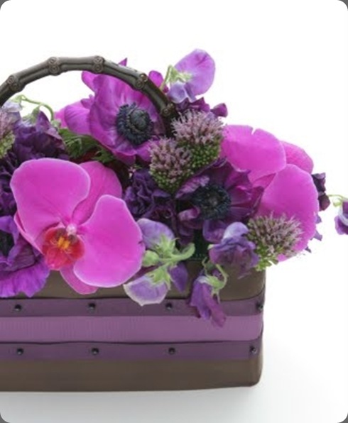 bb web 1 nancy liuchin blogspot