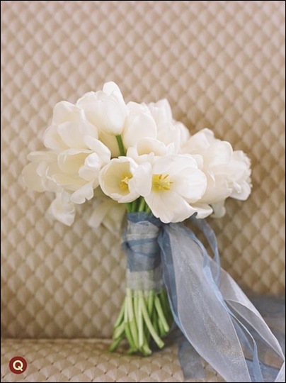 AlejandraBen-0702hw-1-tm qweddings