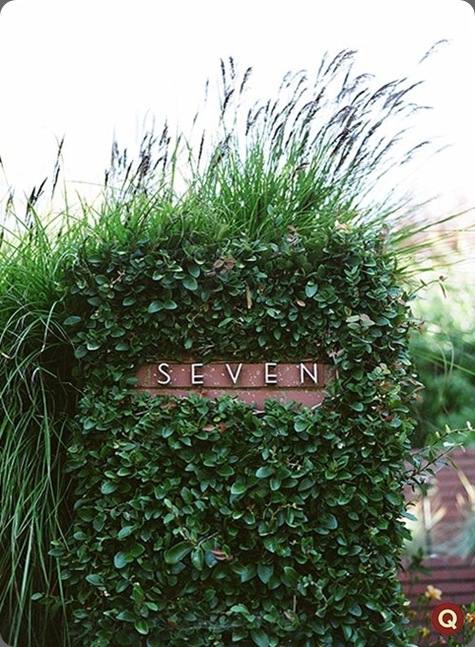 lucky_number_seven_3509-30 qweddings