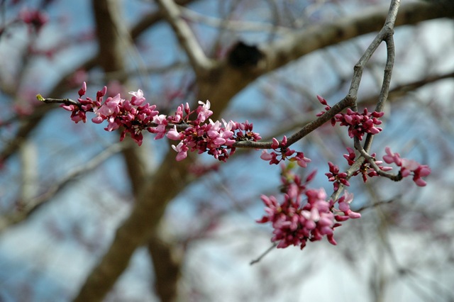 [20100315044edit5.jpg]