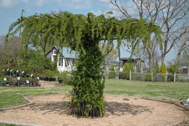 [20100315027edit5.jpg]