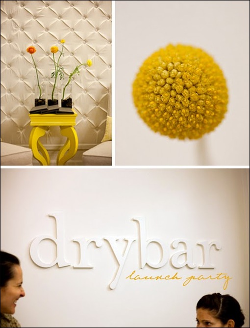 drybar1 yes please