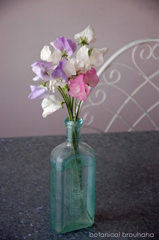 [Picture002edit21.jpg]