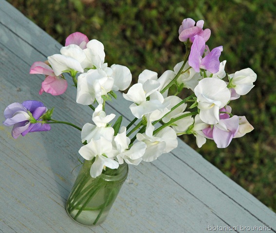 [Picture014crop10.jpg]