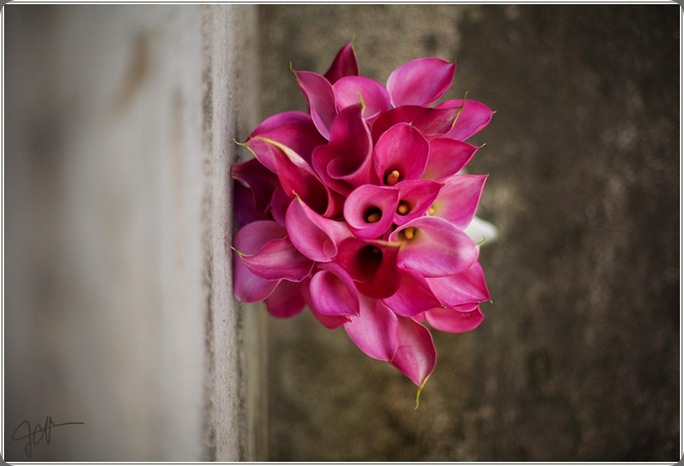 peter16 james christianson