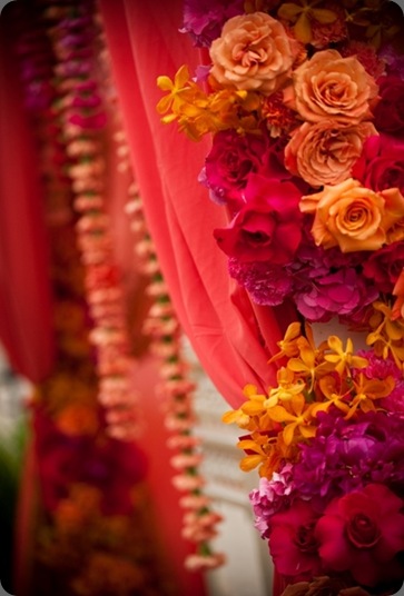 dsc_9391 details details