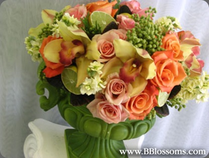 Orange15 brassavolas floral co'