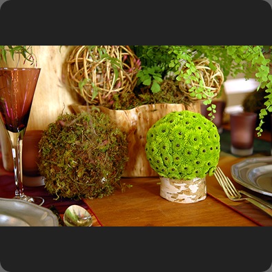 so many awesome parts to this woodsy centerpiece the moss the maidenhair