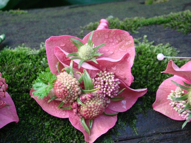 [hydragneaboutfreshcutdesign4.jpg]