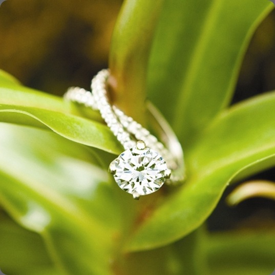 classic_fb green-wedding.net