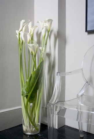 [Contractsshots041wildatheartnikkitib[1].jpg]