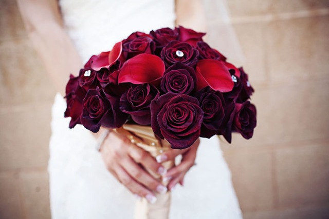 [ad051marlinmunozphoto5.jpg]