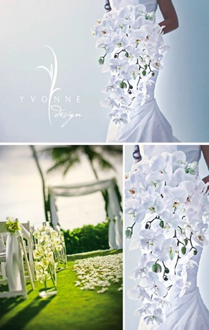 [6a010534a9832e970b012875c41e38970c50[2].jpg]