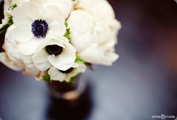 img_3151e2 anne marie photo