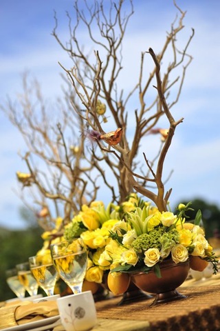 [6a010534a9832e970b01347f9b8aab970c50.jpg]