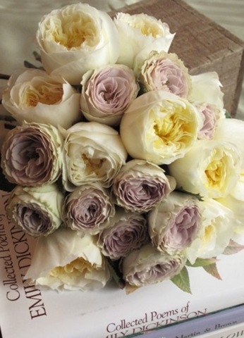 [037360x500floralartvermont5.jpg]