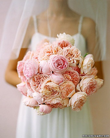 [BlushingBeautiesmarthastewart5.jpg]