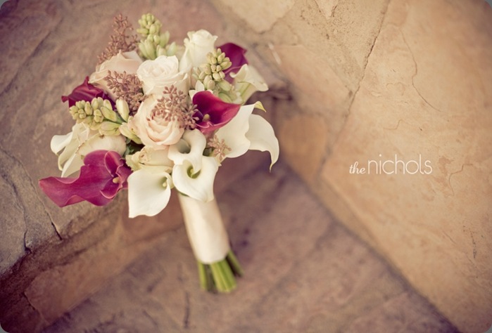 img_0311 the nichols