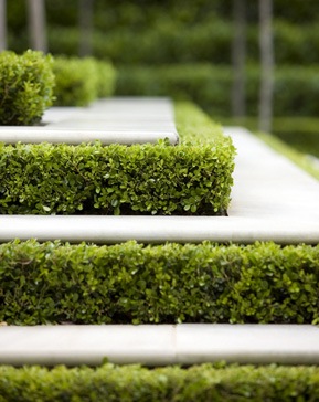 [181peterfudgegardens5.jpg]