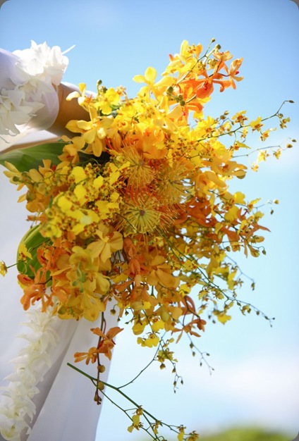 IMG_0269-590x885 absolutely loved