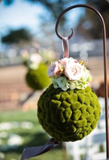 I_0487-200x300 panacea flowers