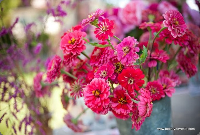 devon-0030 beehive events