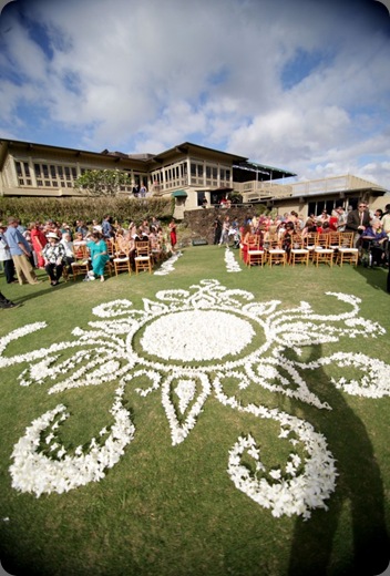 3N7E3377-590x885 absolutely loved