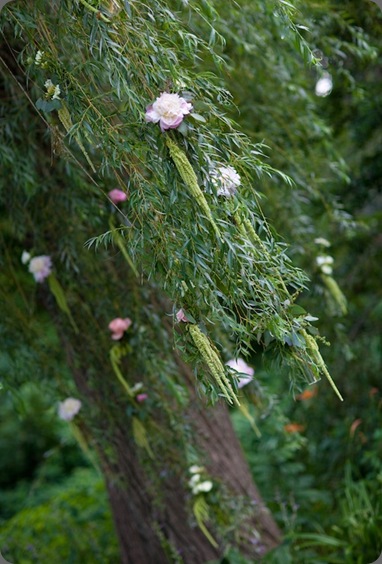karamarctree4 beautiful blooms