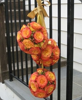 013_primary flowers on mars