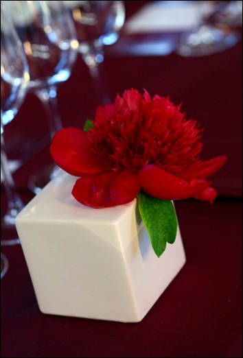 flowers-5 beautiful blooms