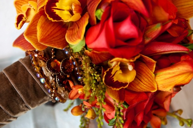 [6a010535ded4be970c01348568f476970c80[1].jpg]