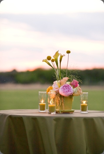 nelsong-a276 sasha souza