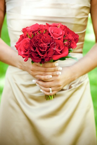 [c2a9openlightstudiotoniandersonweddi[2].jpg]