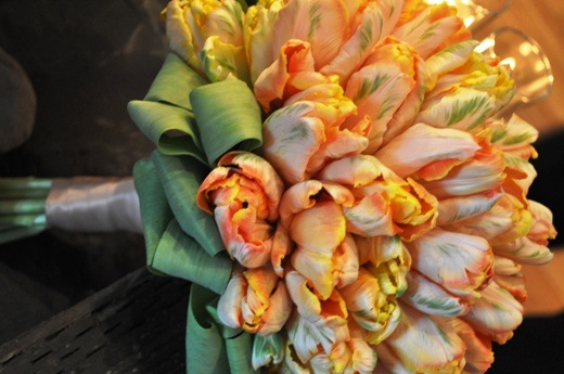 [2022brazilroom2010020Copy2katharinas[2].jpg]