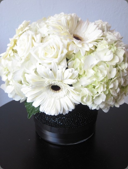 6a010535ded4be970c0133f40ce7ed970b-800wi just bloomed