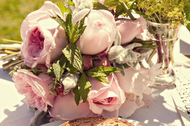 [DSC_3965ashleymaxwellphoto5.jpg]